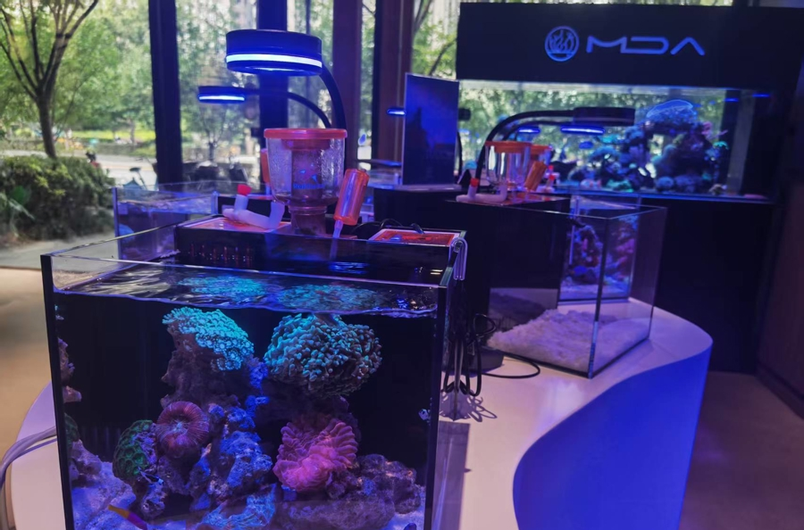 _品区·周末侃_品区·周末侃