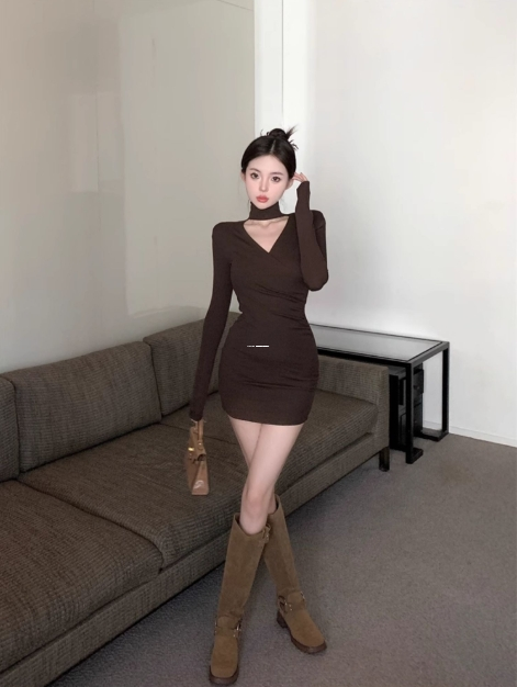 XvDeviOS 安装包旧版下载与安装指南