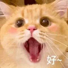 前某鱼娱乐区一姐回归仍是顶流,大哥约其线下唱歌被拒绝后,大哥直言:两个华子都不愿意?还不如去商K!