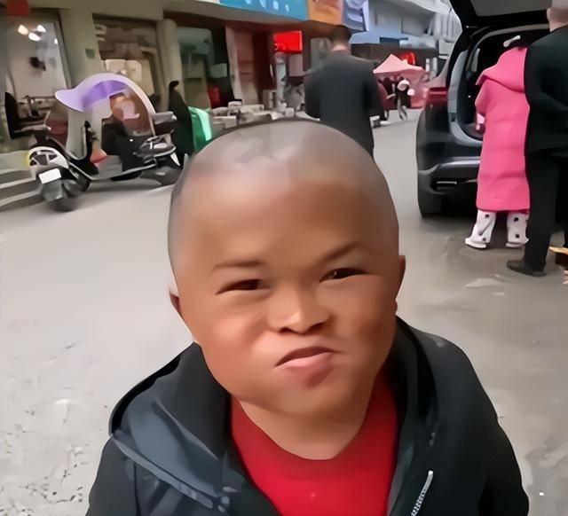 记吃不记打!汪涵被曝家人遭导演蒙骗,匆忙切割晚节不保